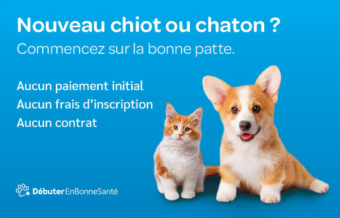 Programme Débuter en Bonne Santé pour chiots et chatons